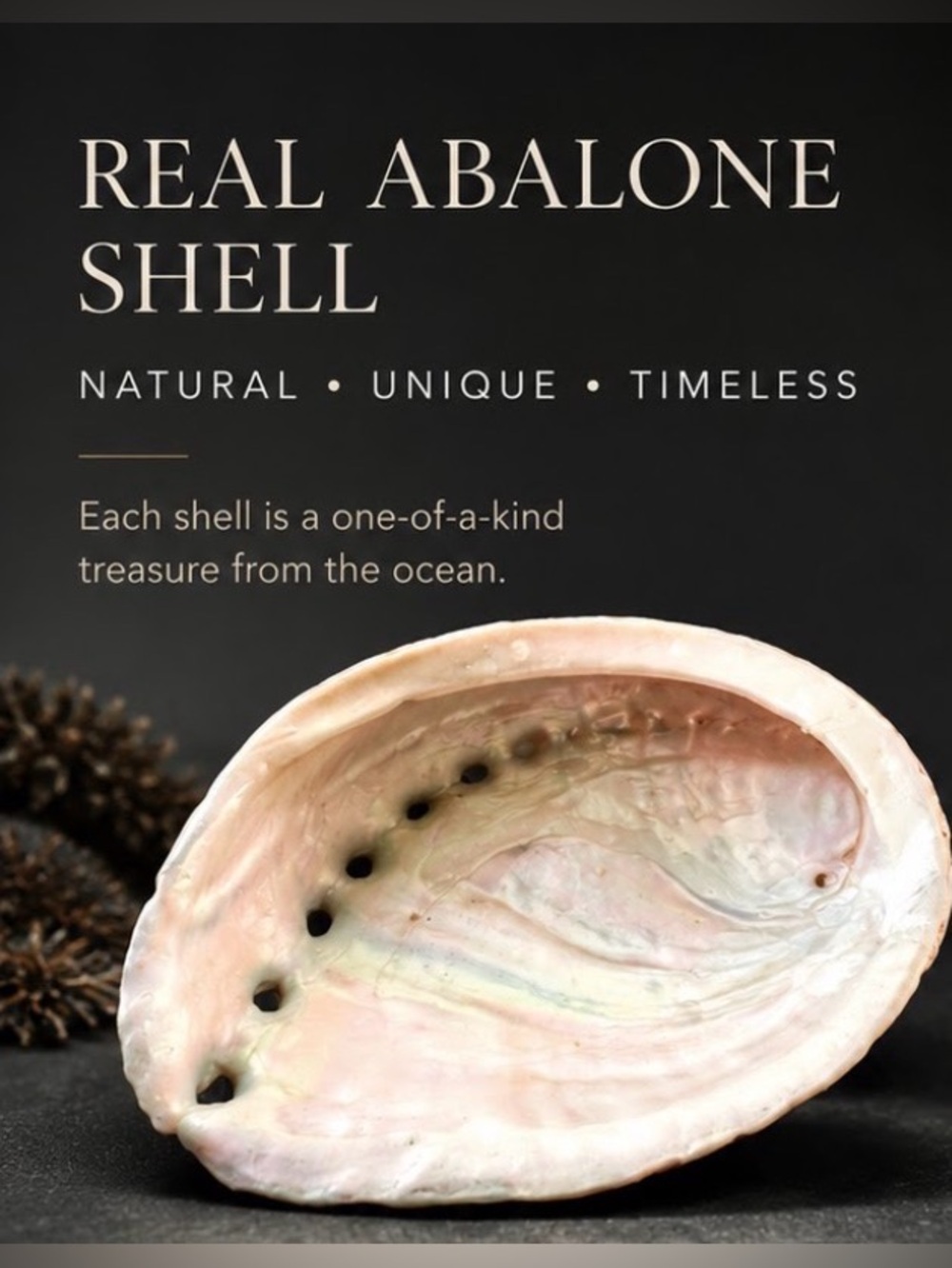 Abalone Natural Shells approx. 4” x 3”